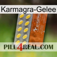 Karmagra Jelly 42